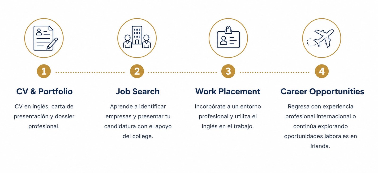 Cómo funcionan las prácticas profesionales en Irlanda: preparación del CV, búsqueda de empresa, prácticas y oportunidades profesionales